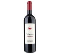 Castello del Terriccio Lupicaia Toscana IGT Rosso 2019 0,75 ℓ