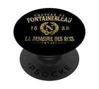Castello di Fontainebleau Francia La Demeure Des Rois Invecchiato PopSockets PopGrip Adesivo