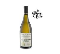 CASTELLO DI MONSANTO FABRIZIO BIANCHI CHARDONNAY 2024 VINO BIANCO TOSCANA IGT