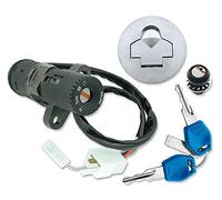 Castello Set - Aprilia RS 50 Tuono AM6