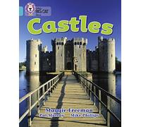 Castles: A non-fiction book packed full of information about castles.
