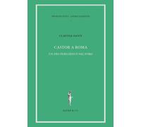 Castor a Roma. Un Dio Pereginus nel Foro - [Agorà & Co.]