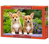 Castorland 1000 El. SzczeniĂta Welsh Corgi C-104659-2 [Puzzle]