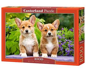 Castorland 1000 El. SzczeniĂta Welsh Corgi C-104659-2 [Puzzle]