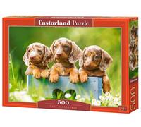 Castorland 500 Piece Jigsaw Puzzles, Cute Dachshunds, Animal Puzzle, Dogs, Puppi