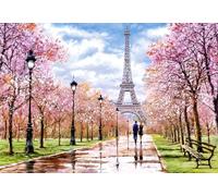 Castorland C-104369-2 Romantic Walk in Paris 1000 Teile Puzzle, Colore Vario, CSC104369