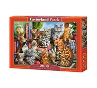 Castorland Classics Puzzle da 2000 pezzi di qualità premium, dai 9 anni in su