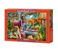 Castorland Flowering Paris 3000 pcs Puzzle 3000 pz Città