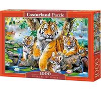 Castorland CSC104413 - Puzzle vari