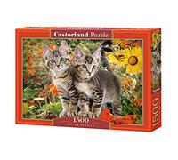 Castorland CSC151899 - Puzzle