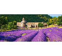 Castorland- Notre Dame de Sénanque,France,Puzzle 600 Teile, Multicolore, B-060313