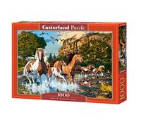 Castorland Puzzle 1000 pezzi: Cavalli nel Paese delle Meraviglie