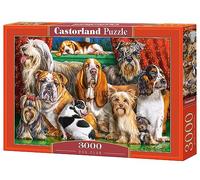 Castorland Puzzle 3000 Pezzi, Dog Club, C-300501