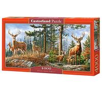 Castorland - Puzzle Famiglia reale dei cervi - 4000 Pezzi