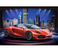 Castorland - Puzzle Arrinera Hussarya 33 - 1000 Pezzi