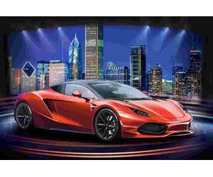 Castorland - Puzzle Arrinera Hussarya 33 - 1000 Pezzi