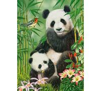 Castorland - Puzzle Brunch di panda - 1000 Pezzi