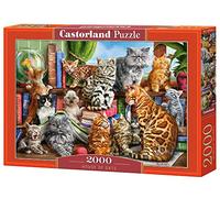Castorland - Puzzle Casa dei gatti - 2000 Pezzi
