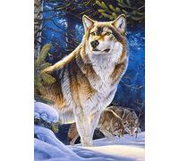 Castorland- Puzzle, Colore Vario, CSC104062