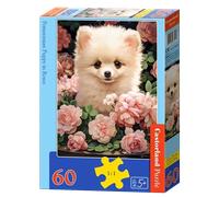 Castorland - Puzzle Cucciolo di Pomerania in rose - 40-99 Pezzi