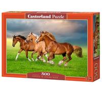 CASTORLAND Puzzle da 500 pezzi, cavalli in fretta primaverile, puzzle di animali, forza e bellezza in movimento, puzzle per adulti, B-54084
