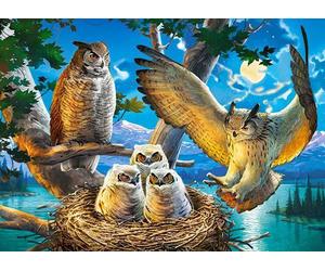 Castorland - Puzzle Famiglia di gufi - 180 Pezzi