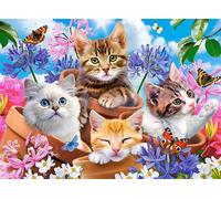 Castorland - Puzzle Gattini con fiori 70 - 40-99 Pezzi