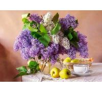 Castorland - Puzzle Natura morta lilla - 500 Pezzi