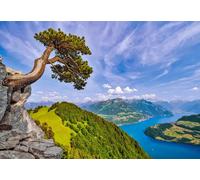 Castorland - Puzzle Vista del lago di Uri, Svizzera - 1000 Pezzi