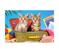 Castorland Puzzles Cat Tourists Trains Concentrazione Adatto a partire dai 6 ann