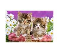 Castorland Puzzles Kittens in a Basket offre divertimento per tutta la famiglia