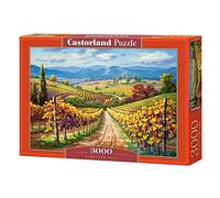 Castorland Vineyard Hill