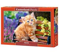 Castorland Zenzero gattino, Puzzle, 500 Pezzi, Multicolore, B-52240
