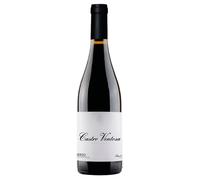 Castro Ventosa Castro Ventosa Valtuille Bierzo DO 2023 0,75 ℓ