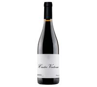 Castro Ventosa Castro Ventosa Valtuille Bierzo DO 2023 0,75 l