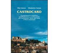 Castrocaro. Il patrimonio artistico, architettonico e ambientale di Castrocaro, terra del sole e pieve salutare