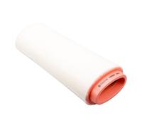 Castrol filters CA0024 Filtro aria