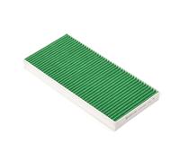 Castrol Filtri Interni Filtro A Carboni Attivi Per Ford Focus DAW DBW 1.8