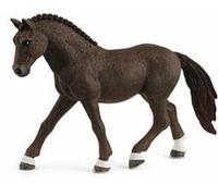 CASTRONE DI GERMAN RIDING PONY