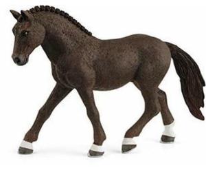 CASTRONE DI GERMAN RIDING PONY