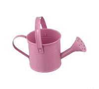 Caswynlife Annaffiatoio in metallo per piante da interni ed esterni, spruzzatore da giardino con beccuccio lungo con base a prova di perdite, piccolo bollitore per fiori per la cura del cortile
