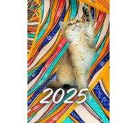 Cat 2026 A5 Family Diary With Week To Page: Weekly Organiser For Business or Home