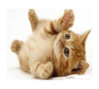 CAT-9 Pad - Tappetino da gioco antiscivolo per PC, computer, laptop, MacBook, superficie liscia, facile da pulire, perfetto gioco di lavoro