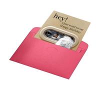 Cat Birthday Card, Paw Humor Keepsake, Carino Greeting Envelope, Fun Celebration Note, Gift Message Opption for Friend Mom Dad Daughter Son Sister Wife Husband Coworker Boyfriend Use