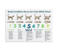 Cat Body Condition Guide Canvas Print Wall Decor for Pet Lovers Modern Home Art for Living Room Bedroom(Framed,08X12inch(20X30cm))