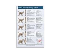 Cat Body Condition Score Chart BCS Poster Feline Health Guide Wall Art for Veterinary Office Pet Clinic and Breeder Decor(Unframed,12x18inch(30x45cm))