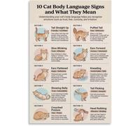 Cat Body Language Signs Poster