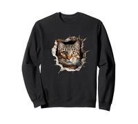 Cat Breed Series., gatto tabby guardando attraverso il buco nel muro. Felpa