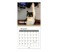 Cat Calendar 2026-12-Month Wall Planner, Feline Artwork Organizer with Dates, Paper Sheet Style with Notes, Office Stationery Aid, Scheduling Calendar for Adults, Friends, Family