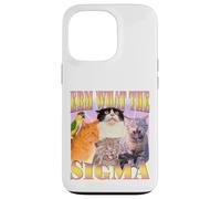 Cat Erm, What The Sigma? Meme divertente Umorismo ironico specifico Custodia per iPhone 13 Pro